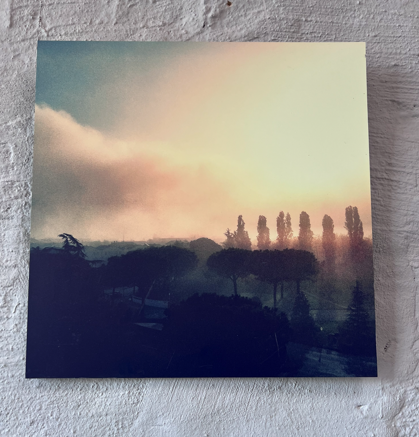 CYPRESS SILENCE