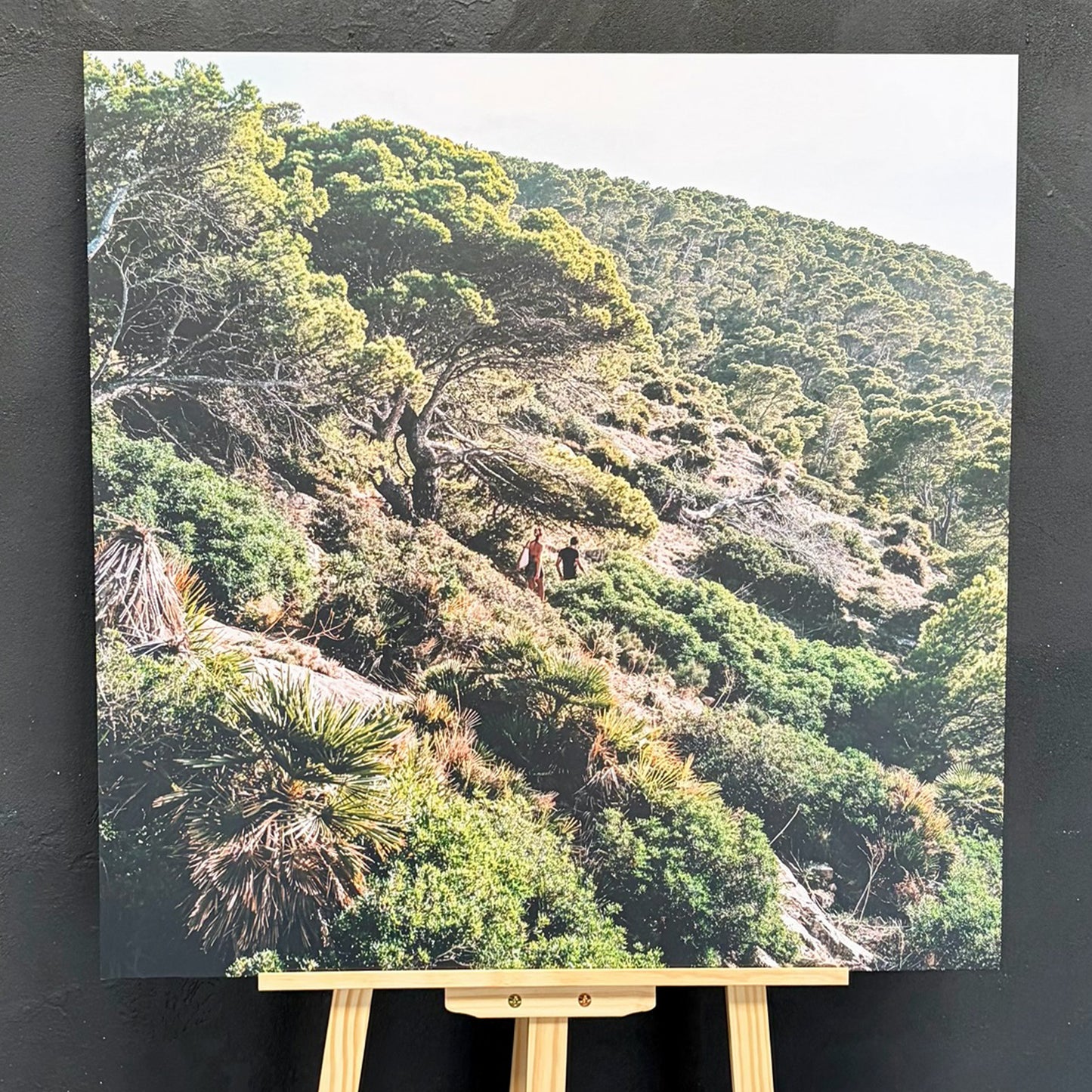 HUMAN X NATURE II