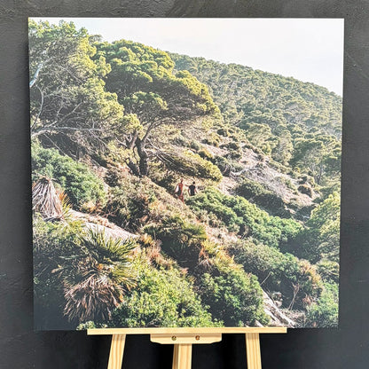 HUMAN X NATURE II